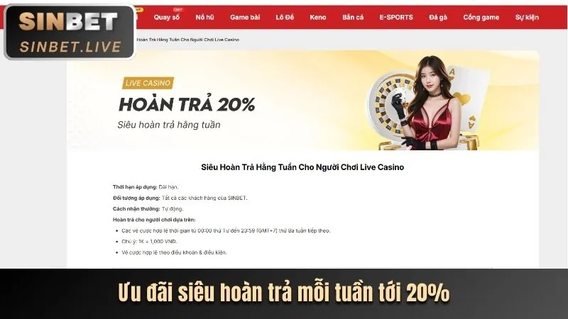 Cá cược có trách nhiệm vin99